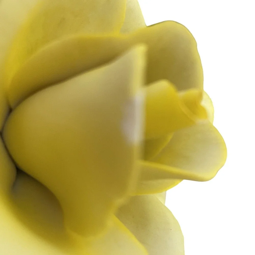 napoleon capodimonte porcelain flower Lg Yellow Rose Made In Italy Vintage Read‎